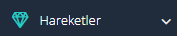 V.2 Gider Ekleme